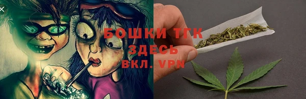 ПСИЛОЦИБИНОВЫЕ ГРИБЫ Иннополис