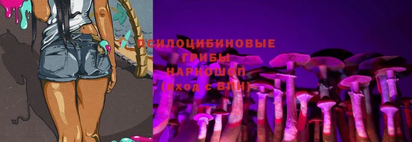 круглые Инсар