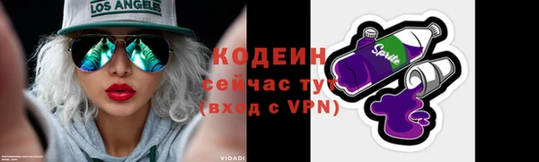 дурь Инта
