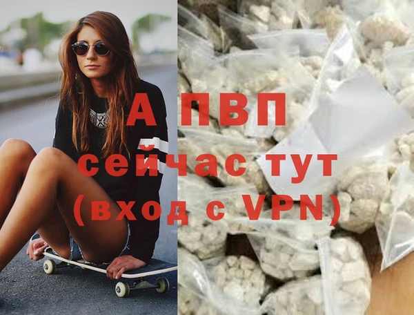 дурь Инта