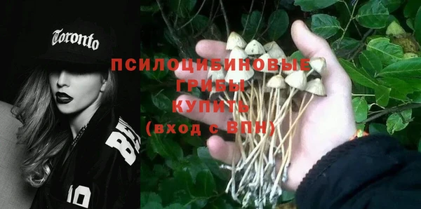 винт Зеленокумск