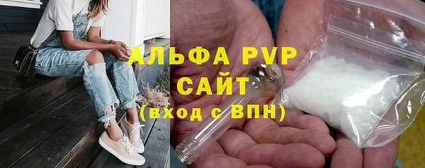 дурь Инта